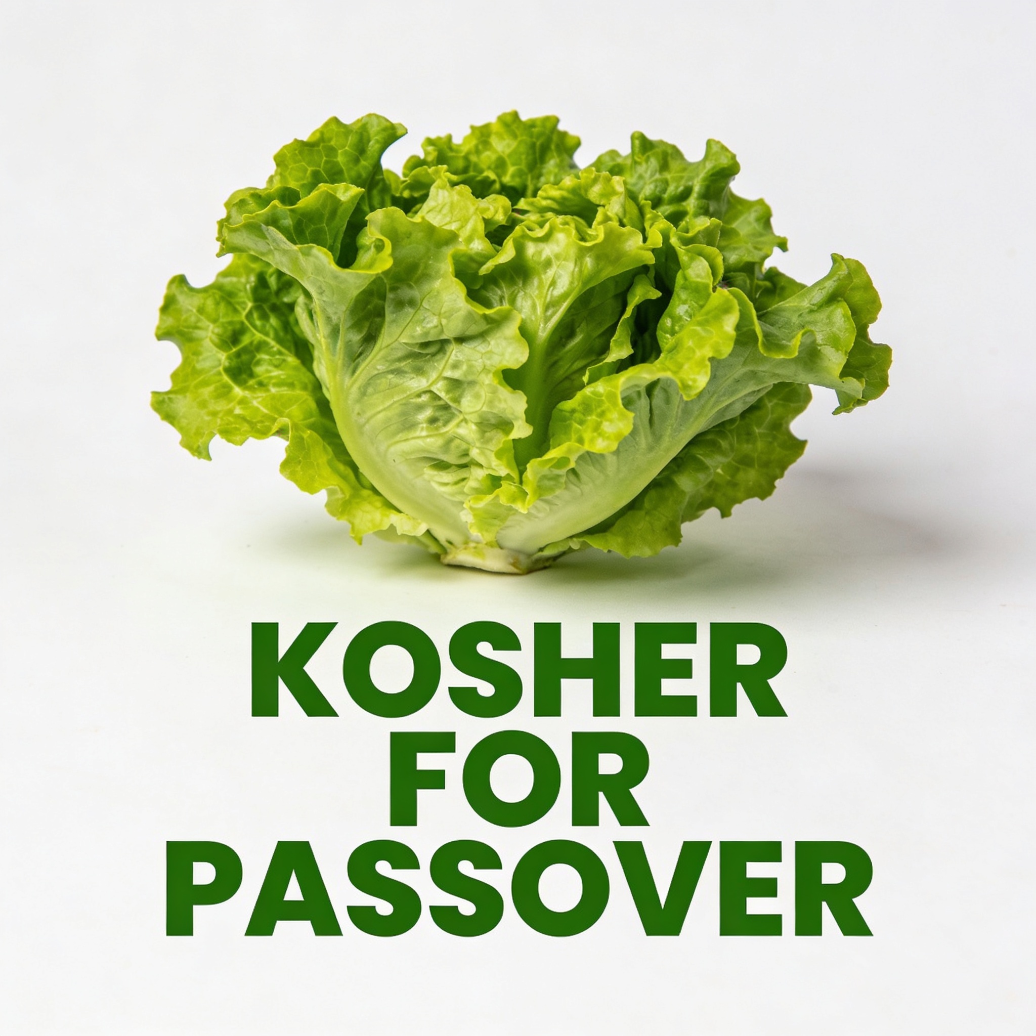 חסה